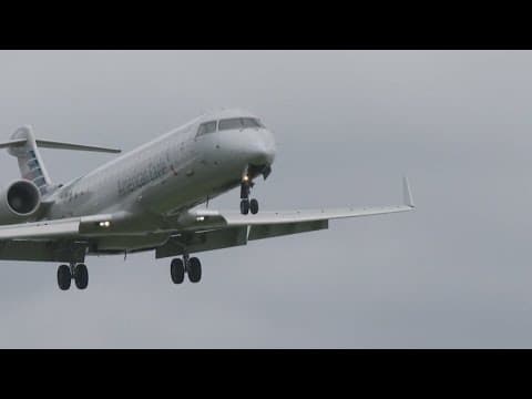 Lawmakers urge change in aviation industry after recent deadly mishaps