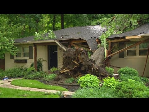 Tree crashes through Lawrence home during severe storms