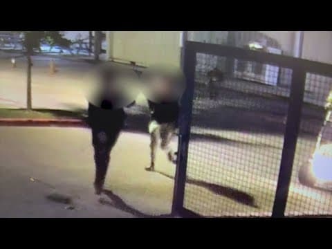 HPD investigating after man shot to death in employee parking area of Houston Farmers Market