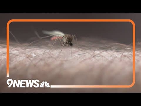 West Nile Virus cases on the rise in Colorado