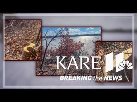 Decades-old trees cut down illegally, the Minneapolis Park and Recreation Board says