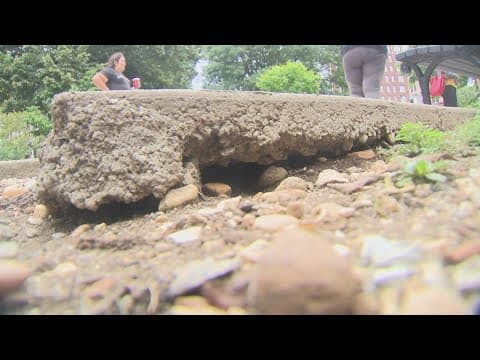 Class is in session at DC's rodent control academy