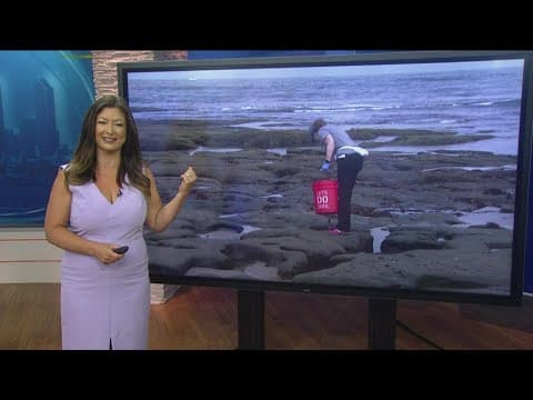 Working for Our Planet | Pick up trash wherever you see it