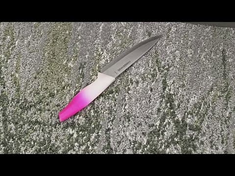 Woman killed by police for stabbing officer, identified