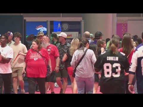 The Breakdown: Super Bowl LIX brought $1.25 billion economic impact