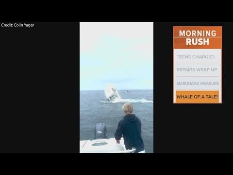 Fisherman's boat hit by whale in New Hampshire