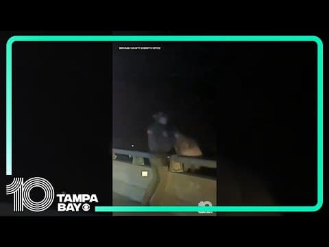 Florida deputy saves K-9 partner from 75-foot fall off bridge