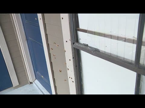 Activists call for independent investigation after deputies shoot woman several times