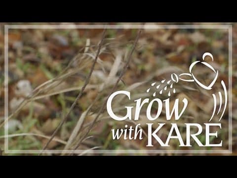 Grow with KARE: How did plants fare after a wacky winter?