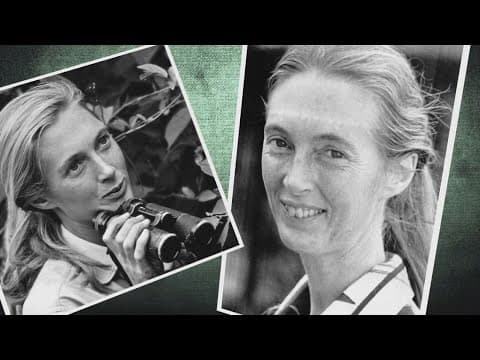 Renowned scientist Jane Goodall dies at 91