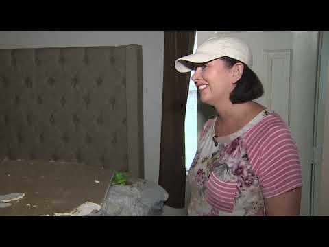 Woman tries to track down owner of neighbor's lot, after tree smashes into here home during Beryl