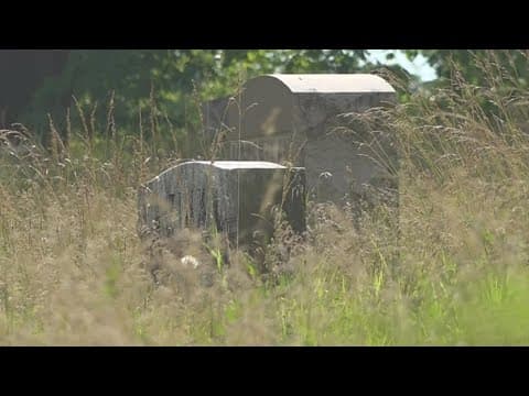 'It's a disgrace': Families complain about conditions at Green Lawn Cemetery