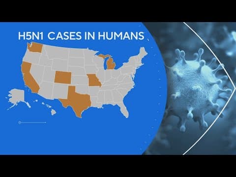 First U.S. case of pig with bird flu