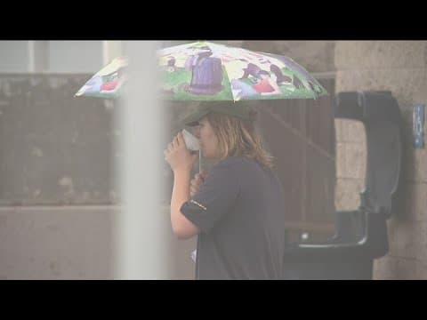 El Niño forecasted for end of 2023