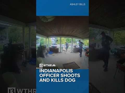 Indianapolis officer shoots and kills dog at domestic disturbance call