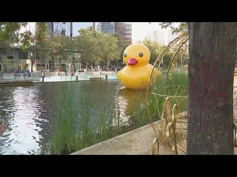 Where to see this giant duck in Houston, plus more great fall spots to be this weekend
