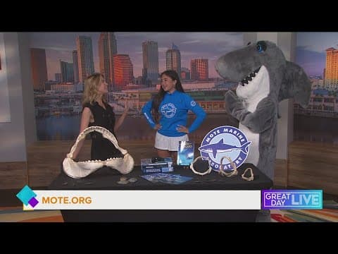 Mote Aquarium’s deep dive into shark research