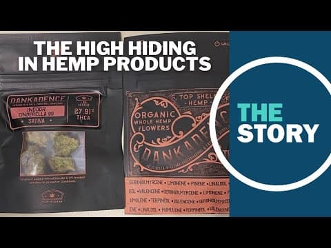 'Essentially indistinguishable': OLCC hemp product tests show THC levels on par with marijuana