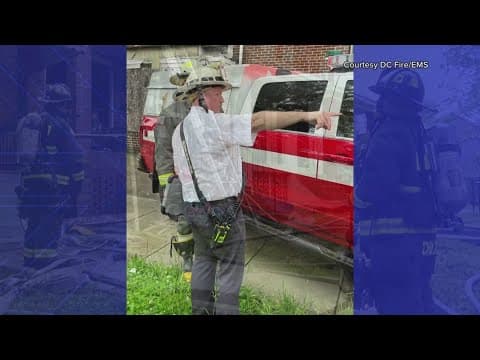 Rowhome fire displaces 12 people, two cats and a dog