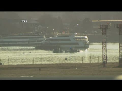 Aviation expert discusses deadly aircraft crash near DC