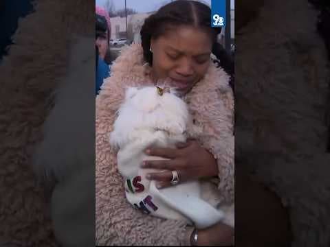 Dog stolen during carjacking reunited with owner