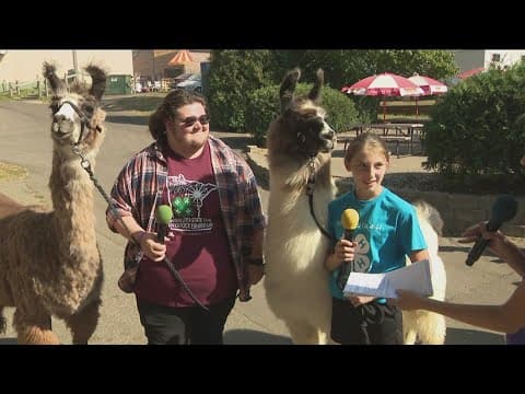 Visiting with the Minnesota 4-H at the state fair