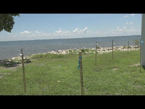 Safety Harbor begins shoreline reconstruction