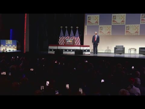 Kamala Harris, Donald Trump continue on campaign trail as 2024 election nears