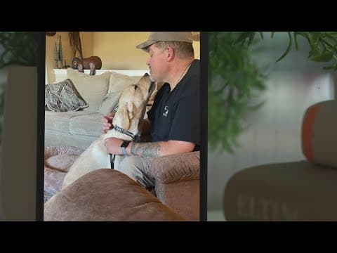 Service dog wakes up Colorado veteran during silent heart emergency