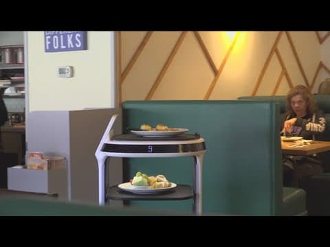 Meet Speedy, Broken Yolk Cafe's first non-human employee