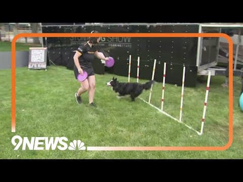 Canine Stars Stunt Dog Show to perform at Greeley Stampede