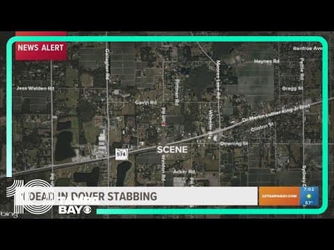 Man stabbed to death during fight in Dover