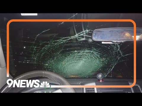 CDOT concerned over crashes involving wildlife