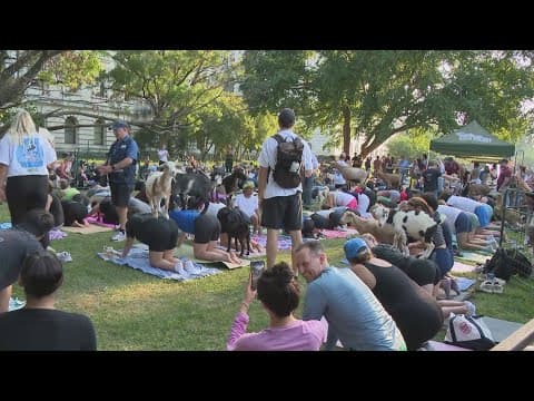 Galloping goats and downward dog on the National Mall