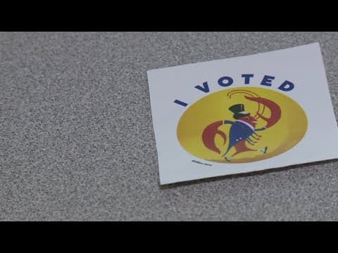 Landry's legislative agenda hits roadblock as voters reject amendments