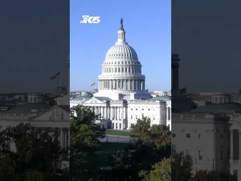 Judge halts federal worker layoffs