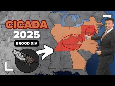 Cicada Brood XIV will start emerging from the ground in April after 17 years