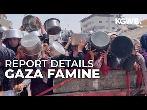 UN-backed report reiterates starvation crisis in Gaza