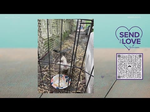 Send the Love update: $823 raised for Hoosier Fix