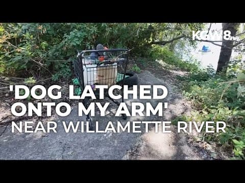 Resident raises safety concerns over homeless camp near Portland's Cathedral Park