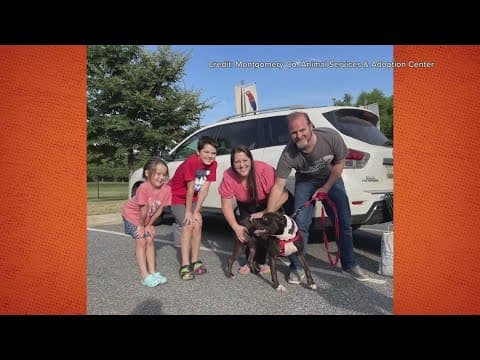Montgomery County animal shelter's longest resident finds a home | Get Uplifted