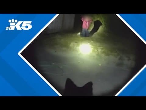 Bodycam video shows car prowler apprehended in Redmond