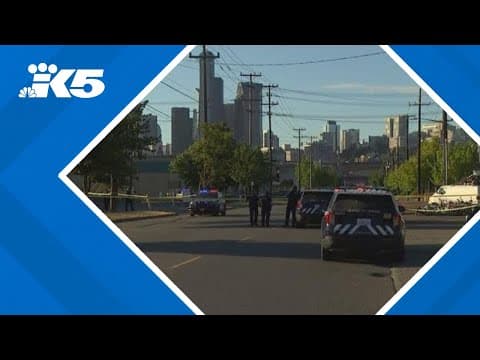 Woman charged in Seattle stabbing previously convicted in triple-fatal crash