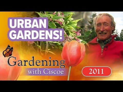 Urban veggie gardening secrets | Gardening with Ciscoe | Full episode