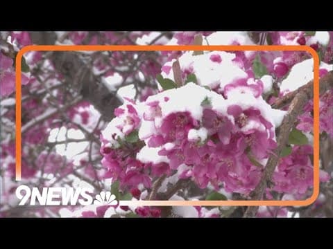 Just in time for the Easter weekend, snow falls across Colorado