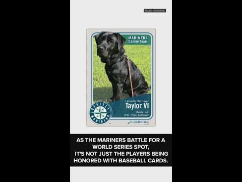 Safety K9s honored with baseball cards
