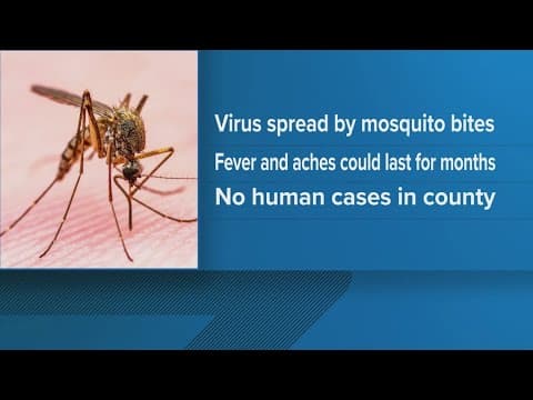 Pickaway County reports pool of mosquitoes tests positive for West Nile virus