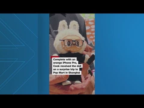 Apple CEO Labubu