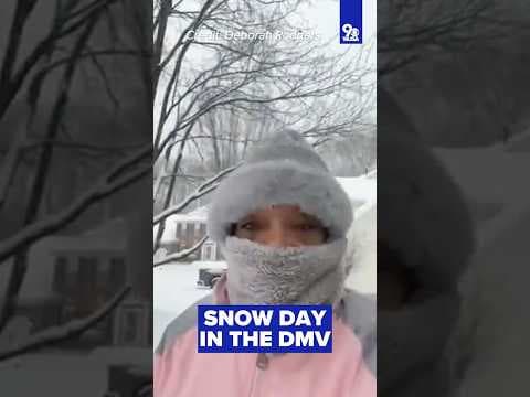 Snow Day in the DMV! ❄️
