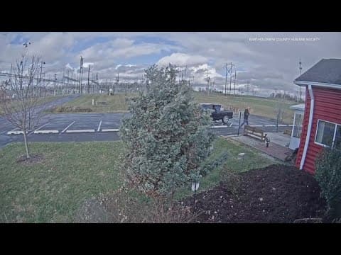 Puppies, kittens dumped illegally at Humane Society